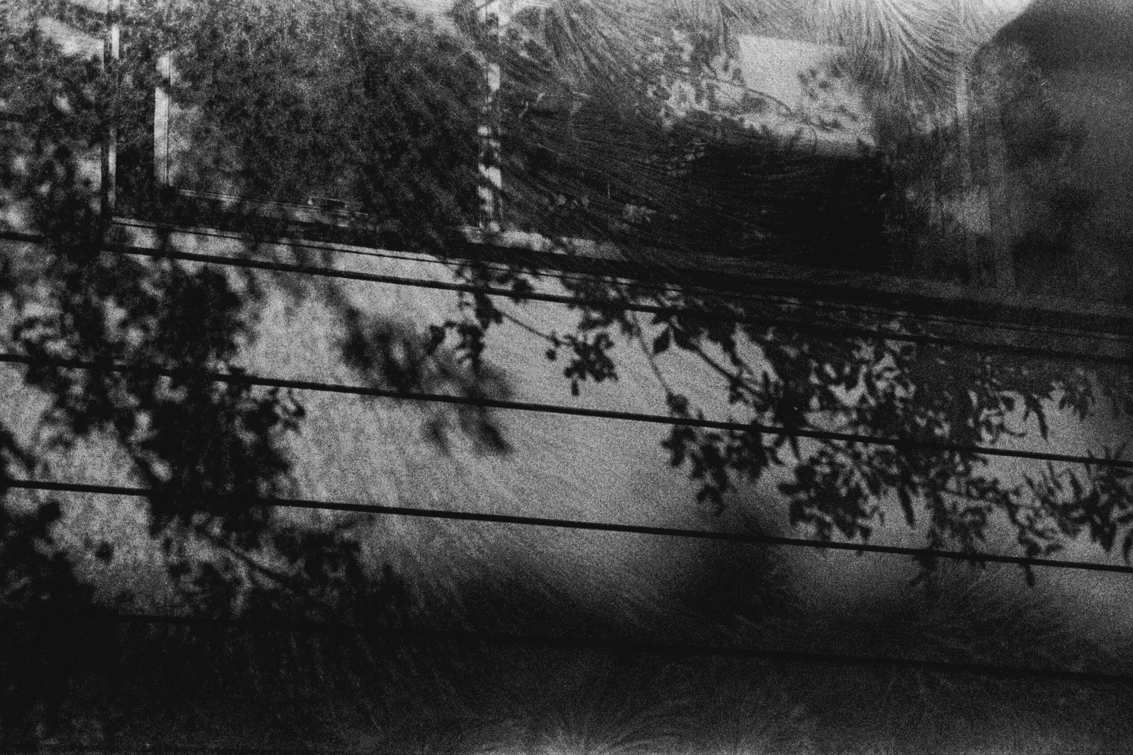 AA009.jpg