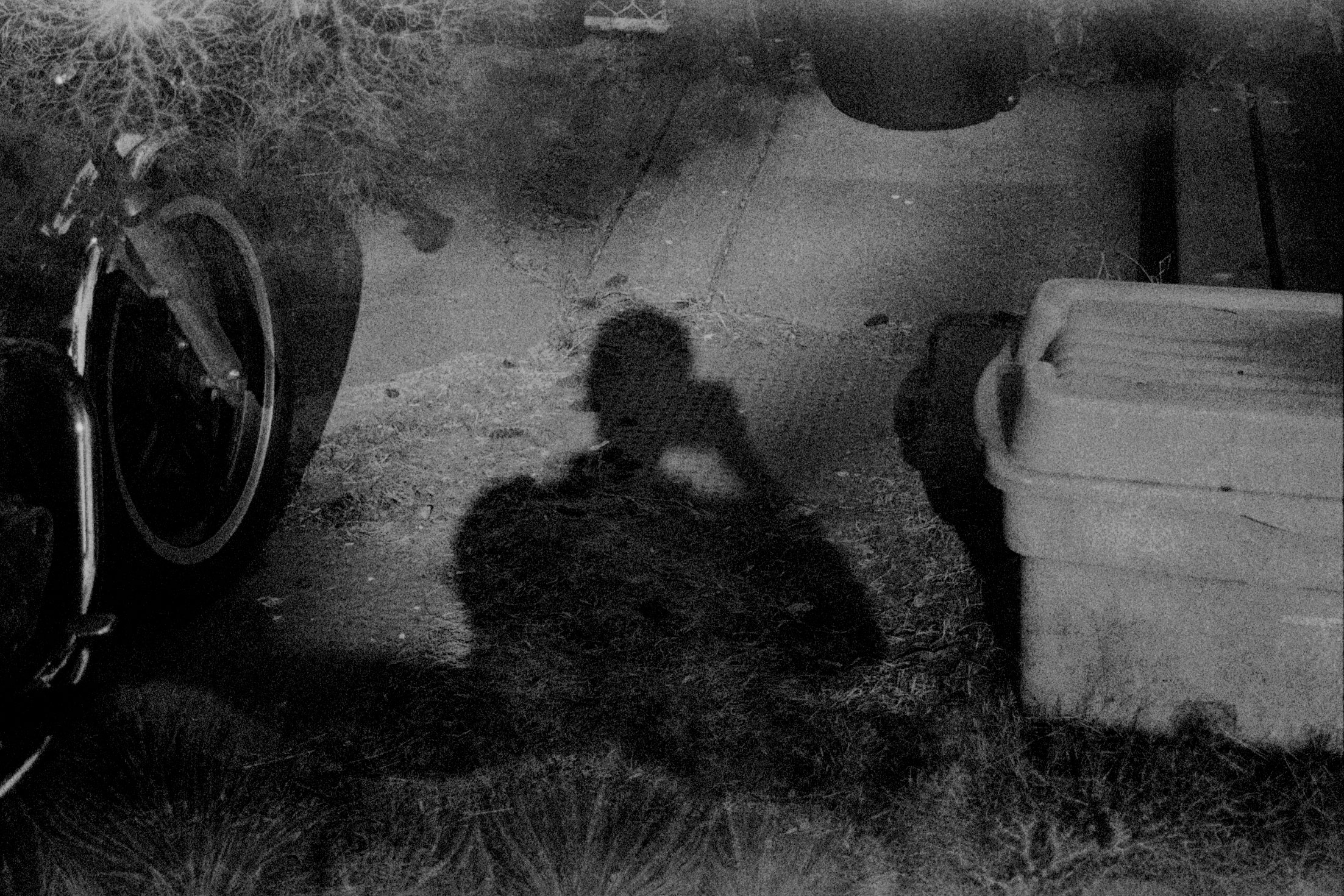 AA025.jpg