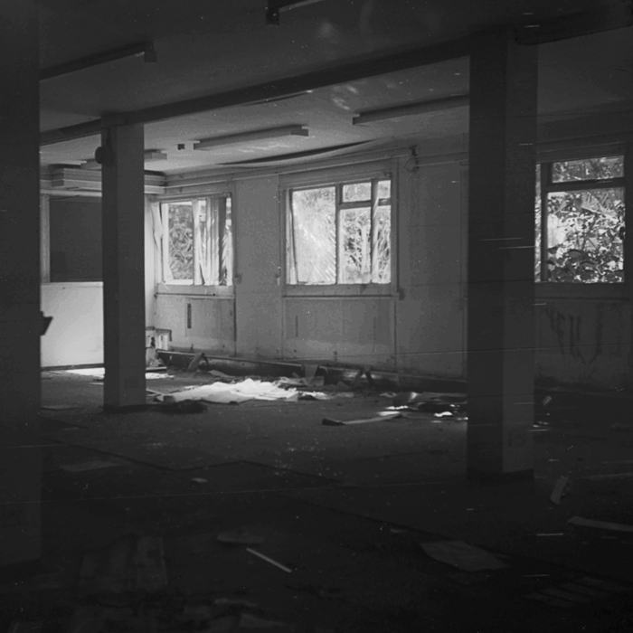 Abandoned 2.jpg