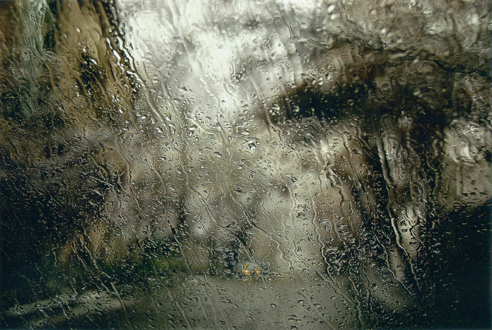 Abbas Kiarostami (2).jpg