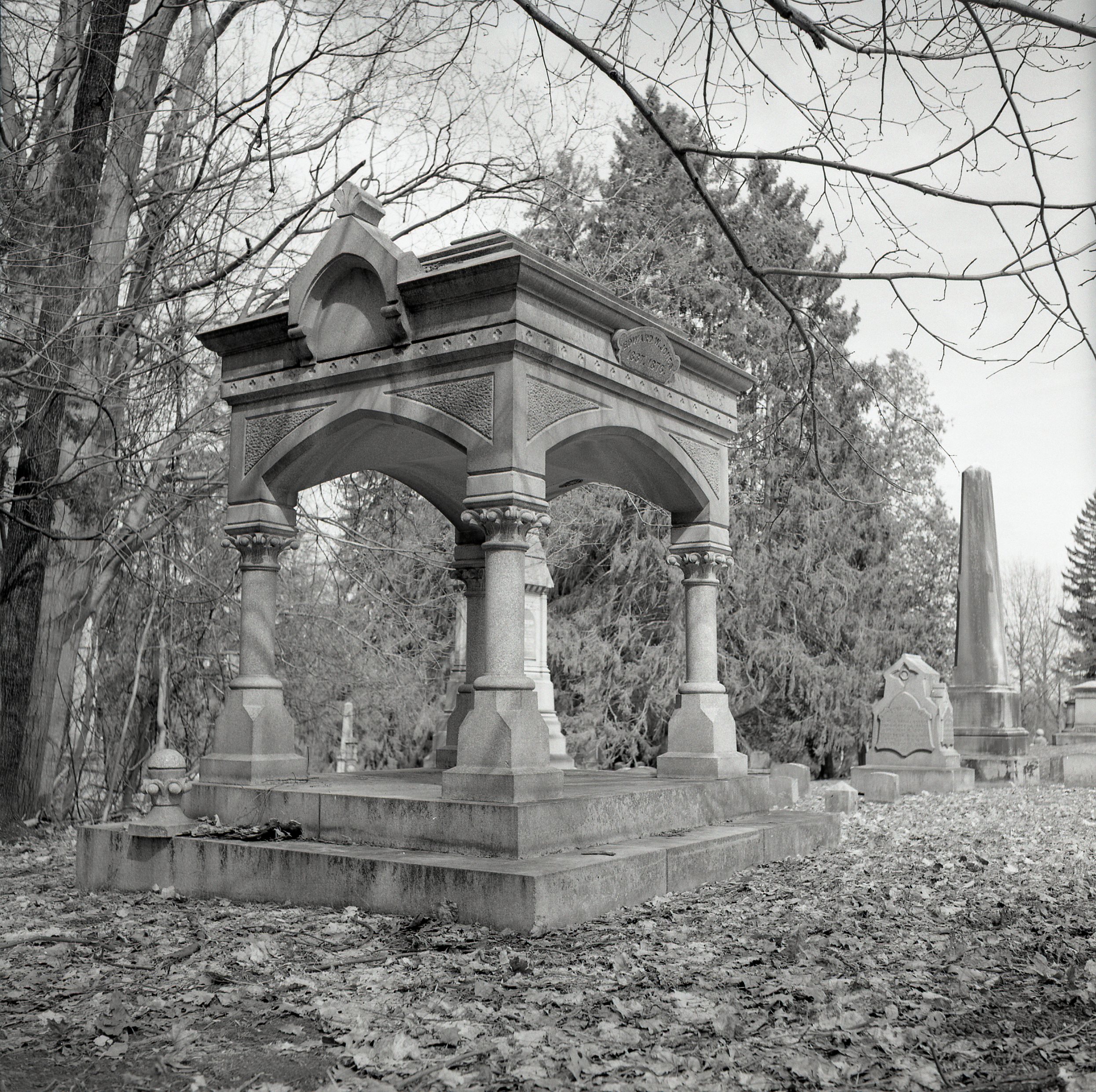 Acros 100 ISO Xtol 1+1 April 2019 010.jpg