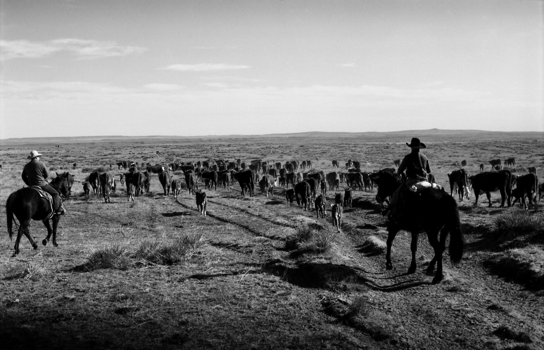 Acros100015.jpg