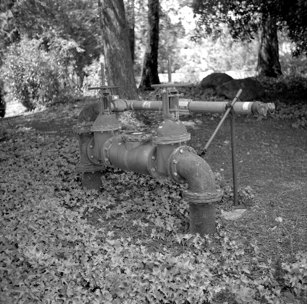 Agfa Isolette III HP5 Plus HC110 Dil H pump.jpg