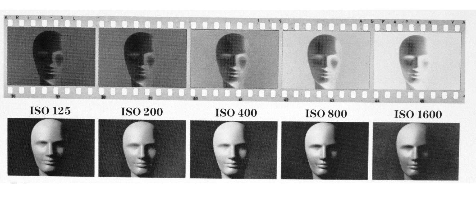 agfa vario xl 125 to 1600.jpg