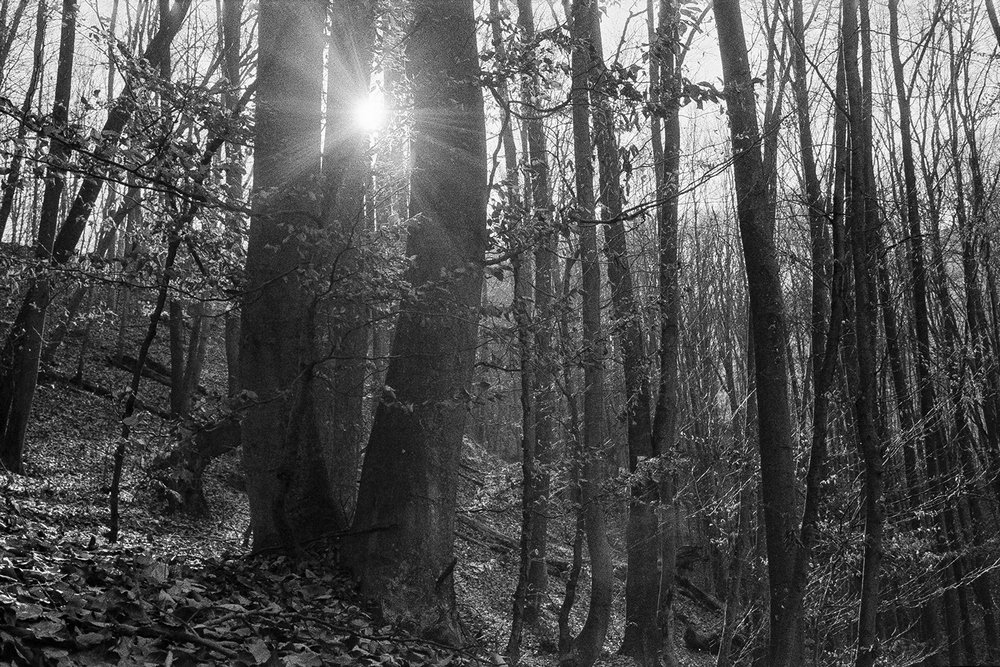 AgfaAPX400.jpg