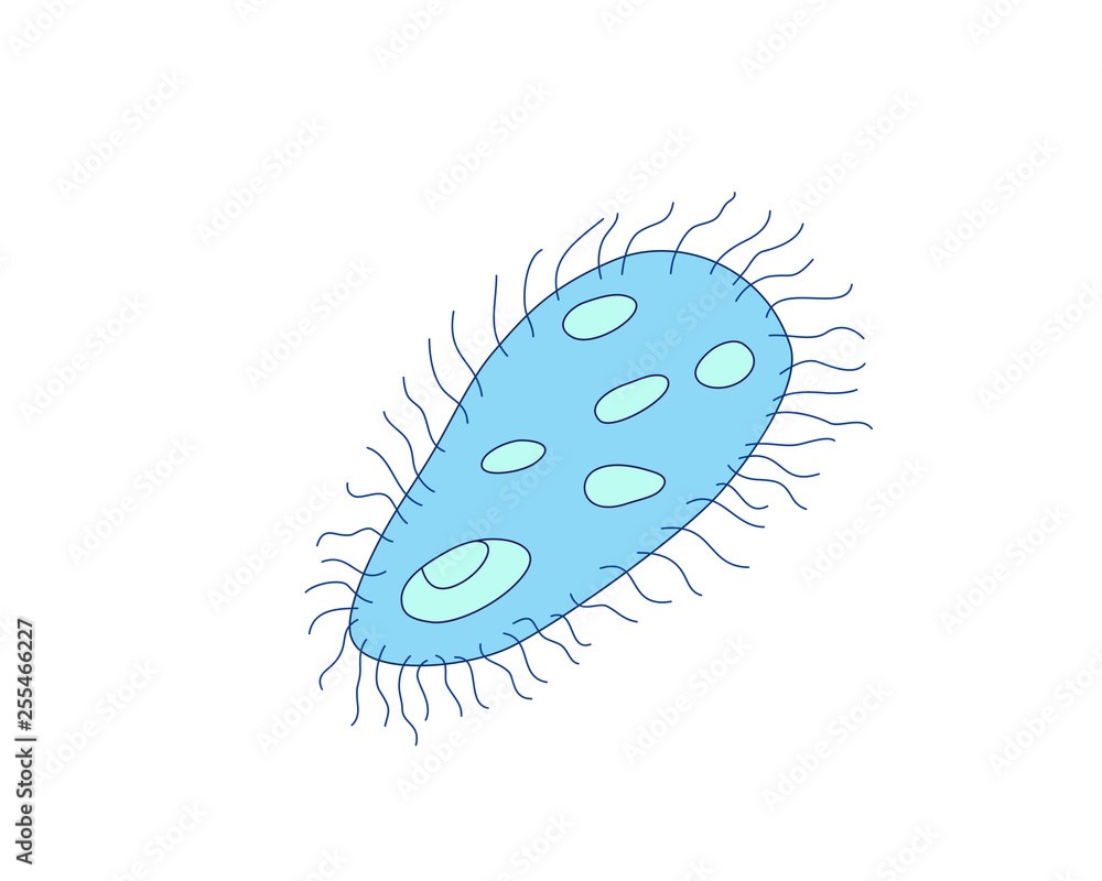amoeba.jpg