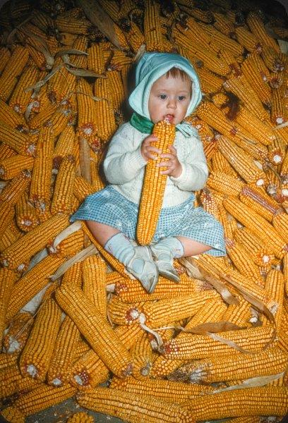 Ande  Warren's  Corn 10-12-52.jpg