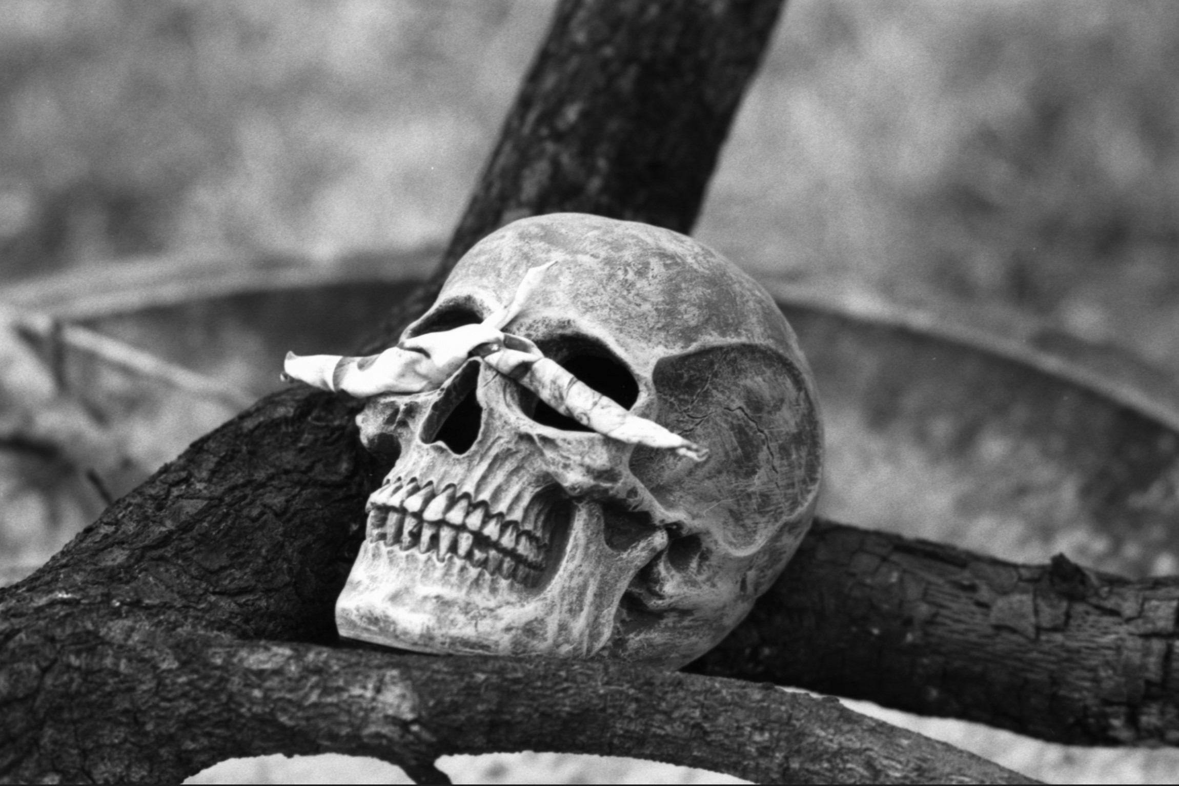 Annotation 2020-03-24 022745.jpg