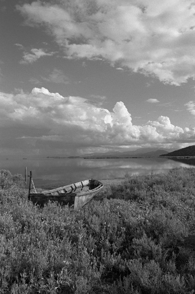 APX100_Xtol_01_600px.jpg