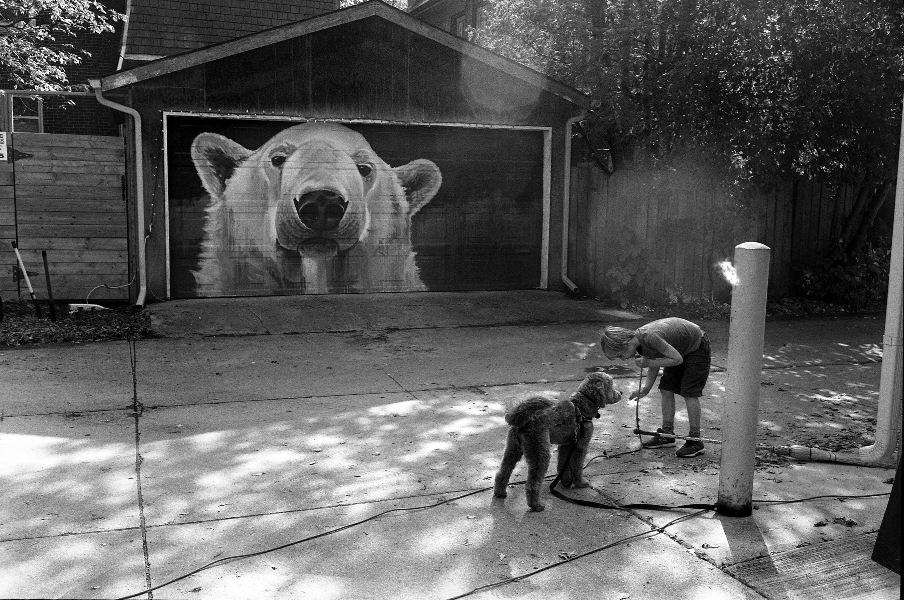 Arctic Alley Boy and Dog.jpg