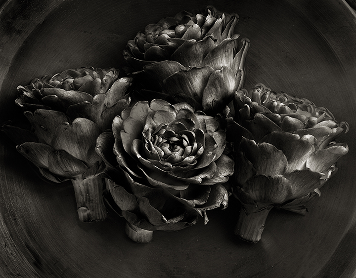 artichokes.jpg