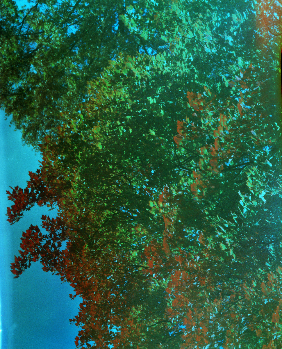 Aviphot 400N test.jpg