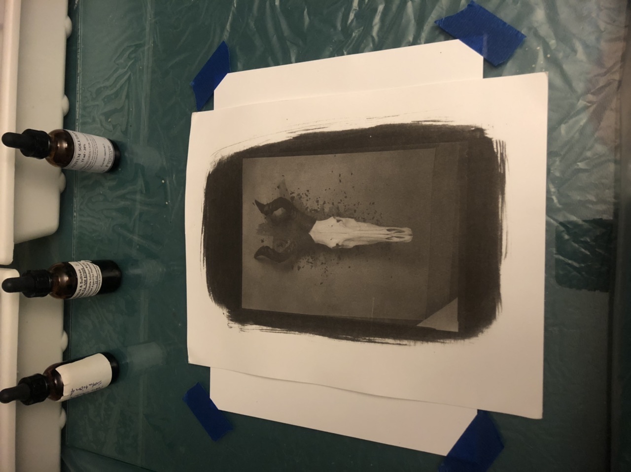 B66EE8A5-2477-464B-92E4-893B9D27B67C.jpeg