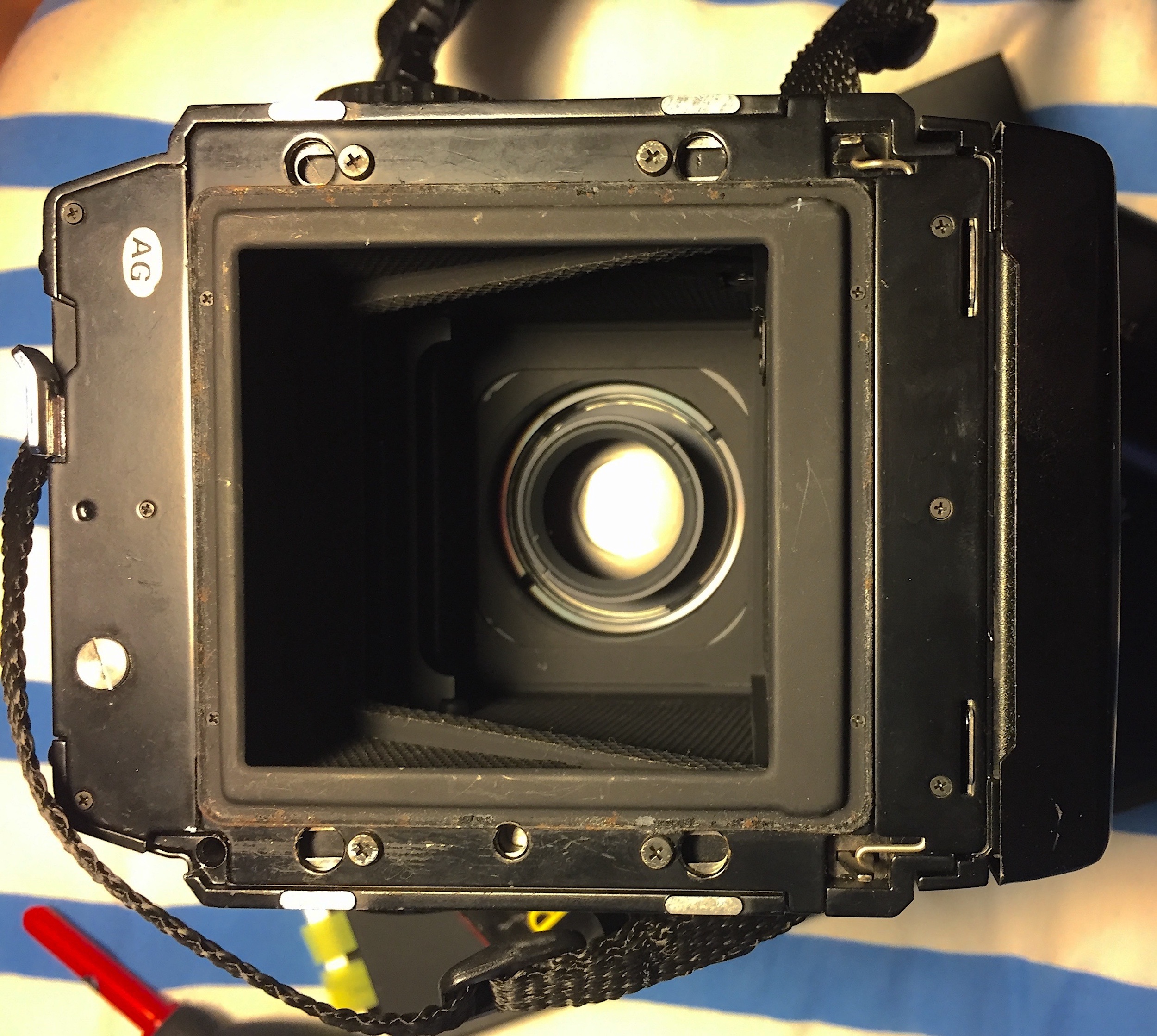 Back of camera body.jpg