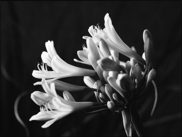 background-test-2.jpg