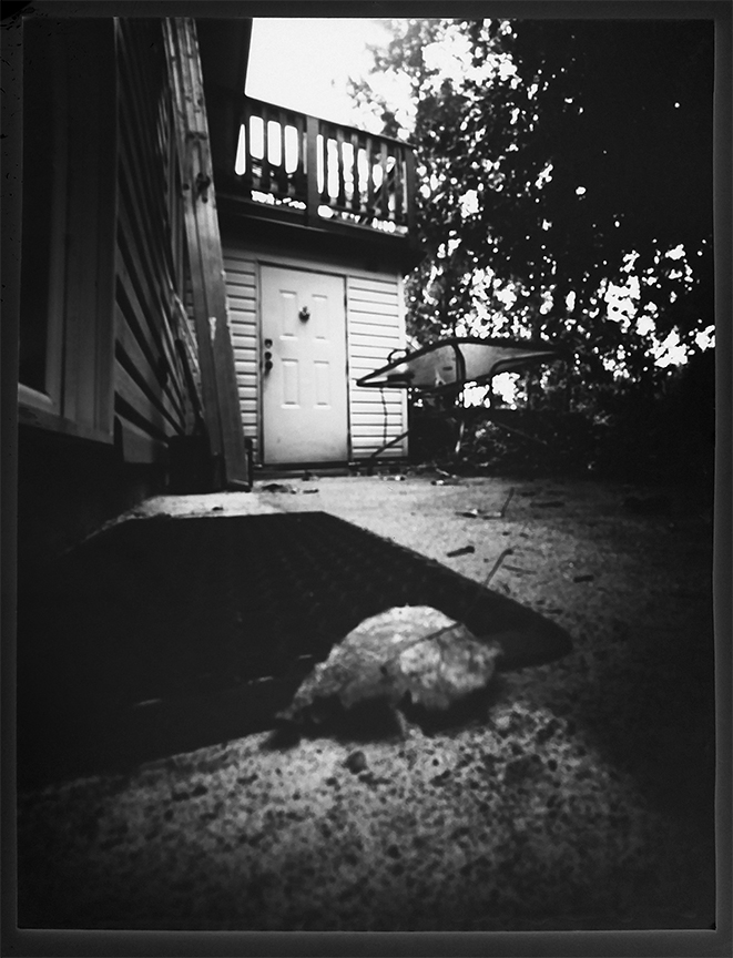 BackYard.jpg