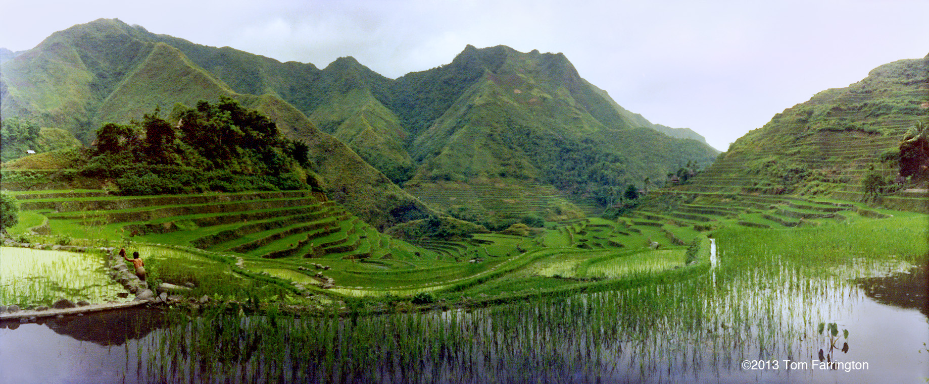 banaue11w.jpg
