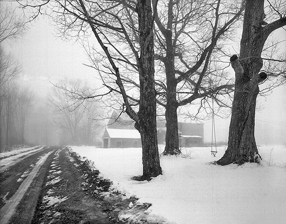 Barn in Fog 3c.jpg