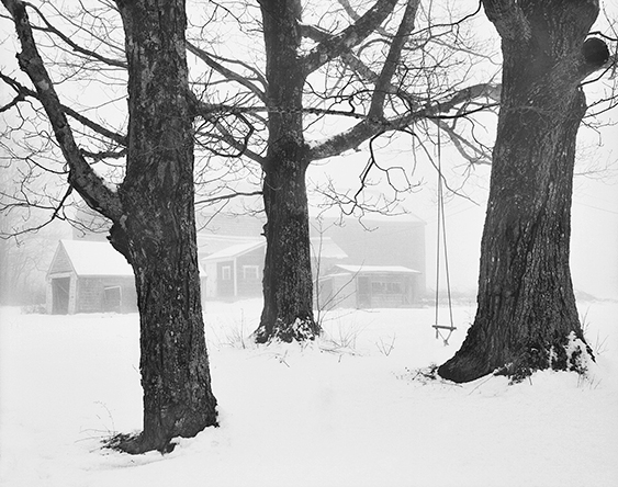 Barn in fog ab 1.jpg