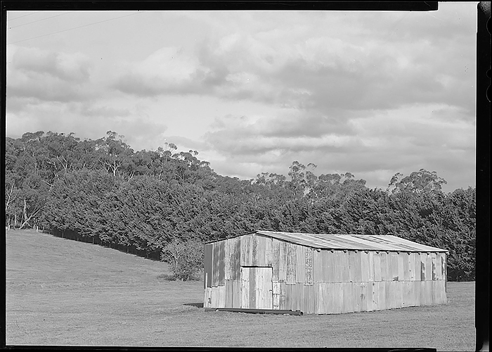 barn.jpg