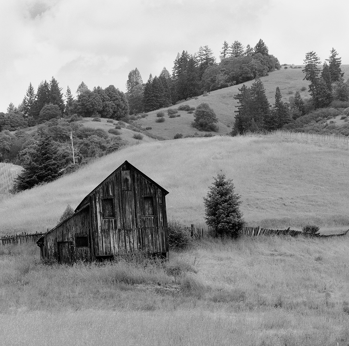 barn-mendocino.jpg