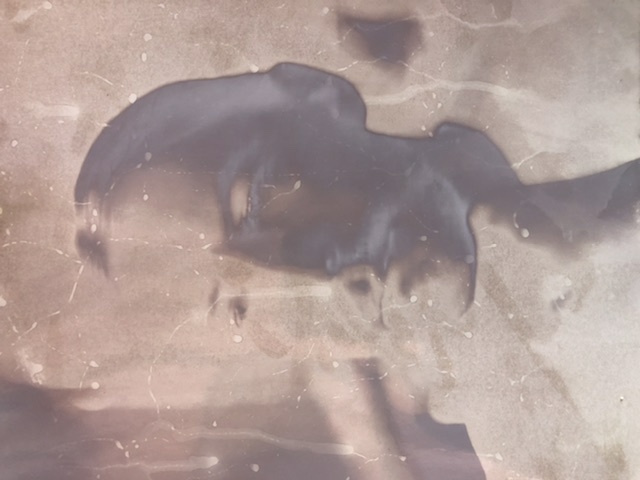 BDFD67E6-AA44-4AB1-AC55-8B25A18C1C79.jpeg