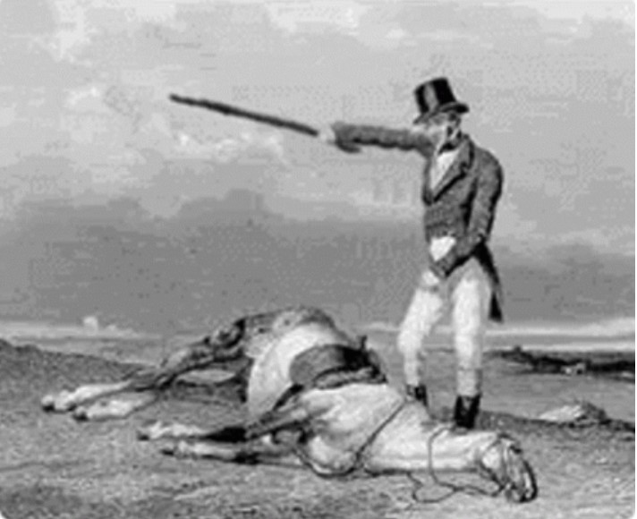 Beating a dead horse 1.jpg