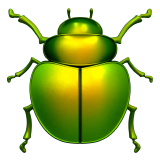 beetle_1fab2.png