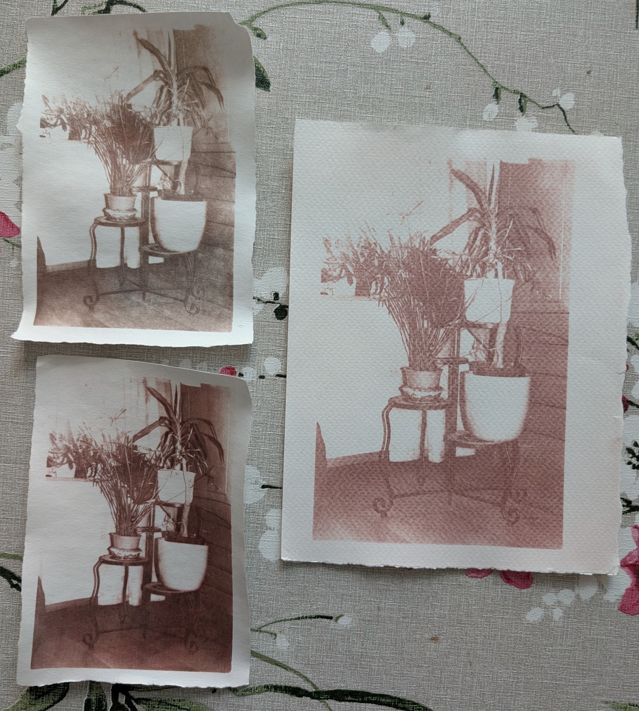 before.jpg