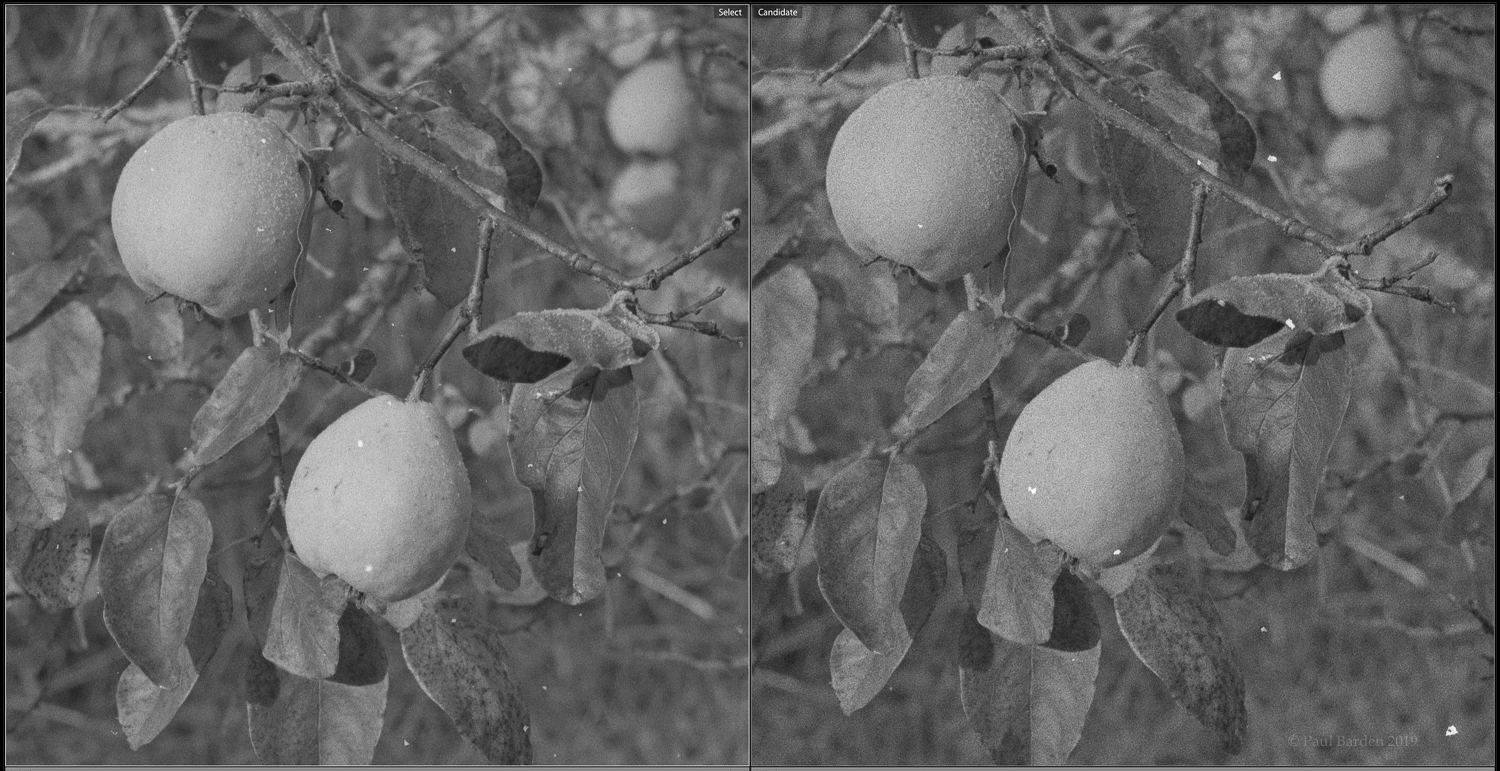BER49.Rodinal.jpg