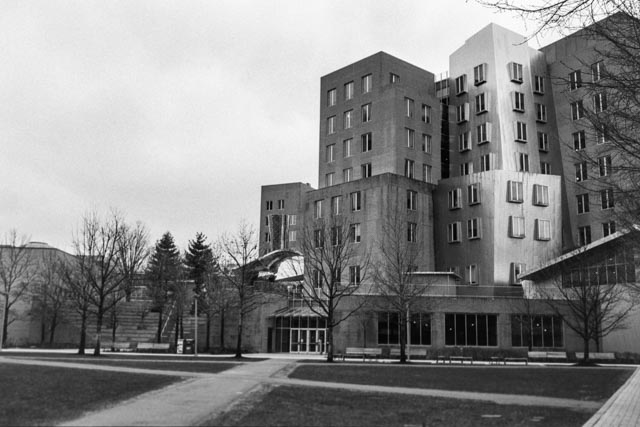 Bessa_28mm Ultron, Kodak Double X 5 April, 2020-067.jpg