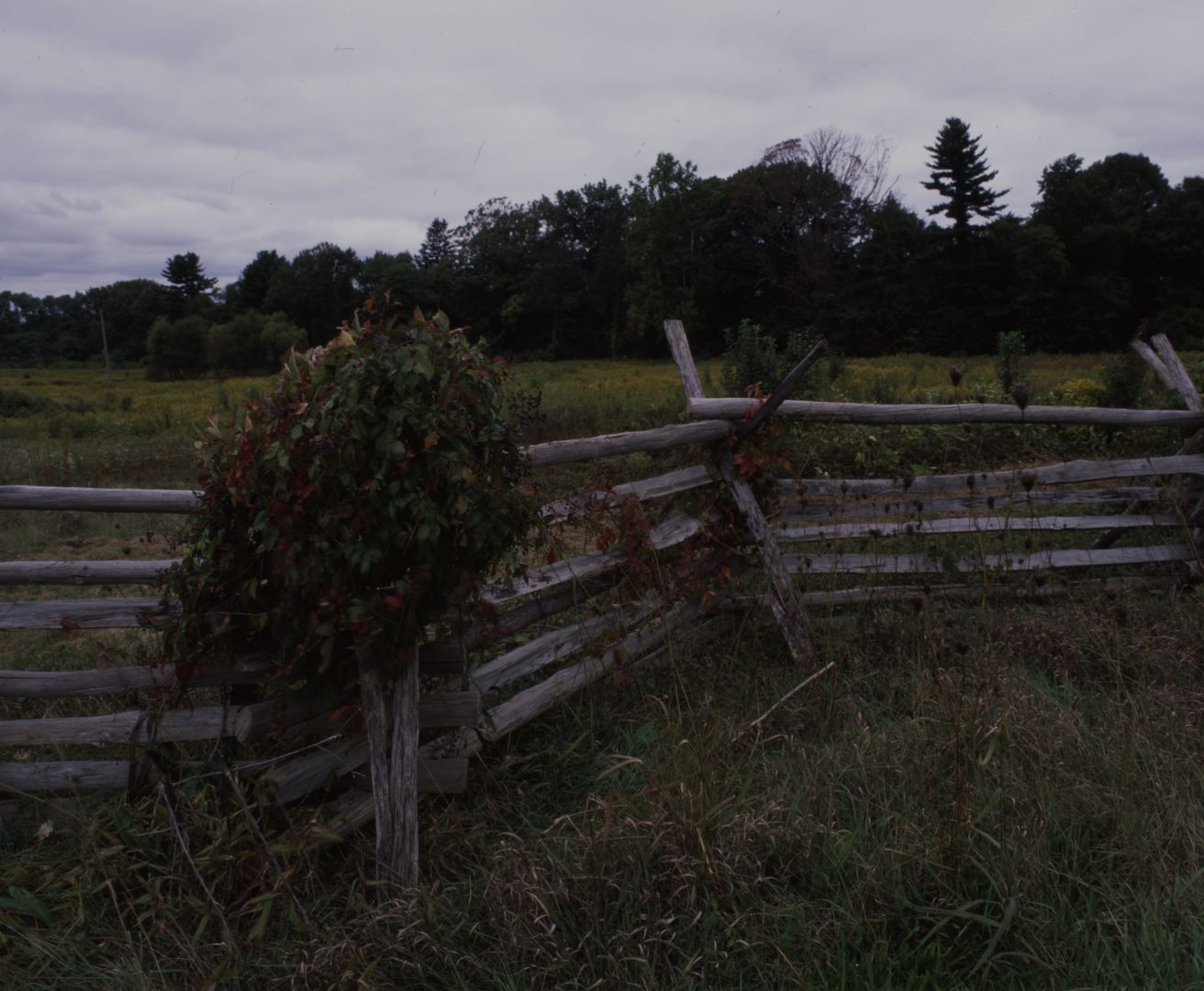 Betterscan holder 0 flat006b jpeg.jpg