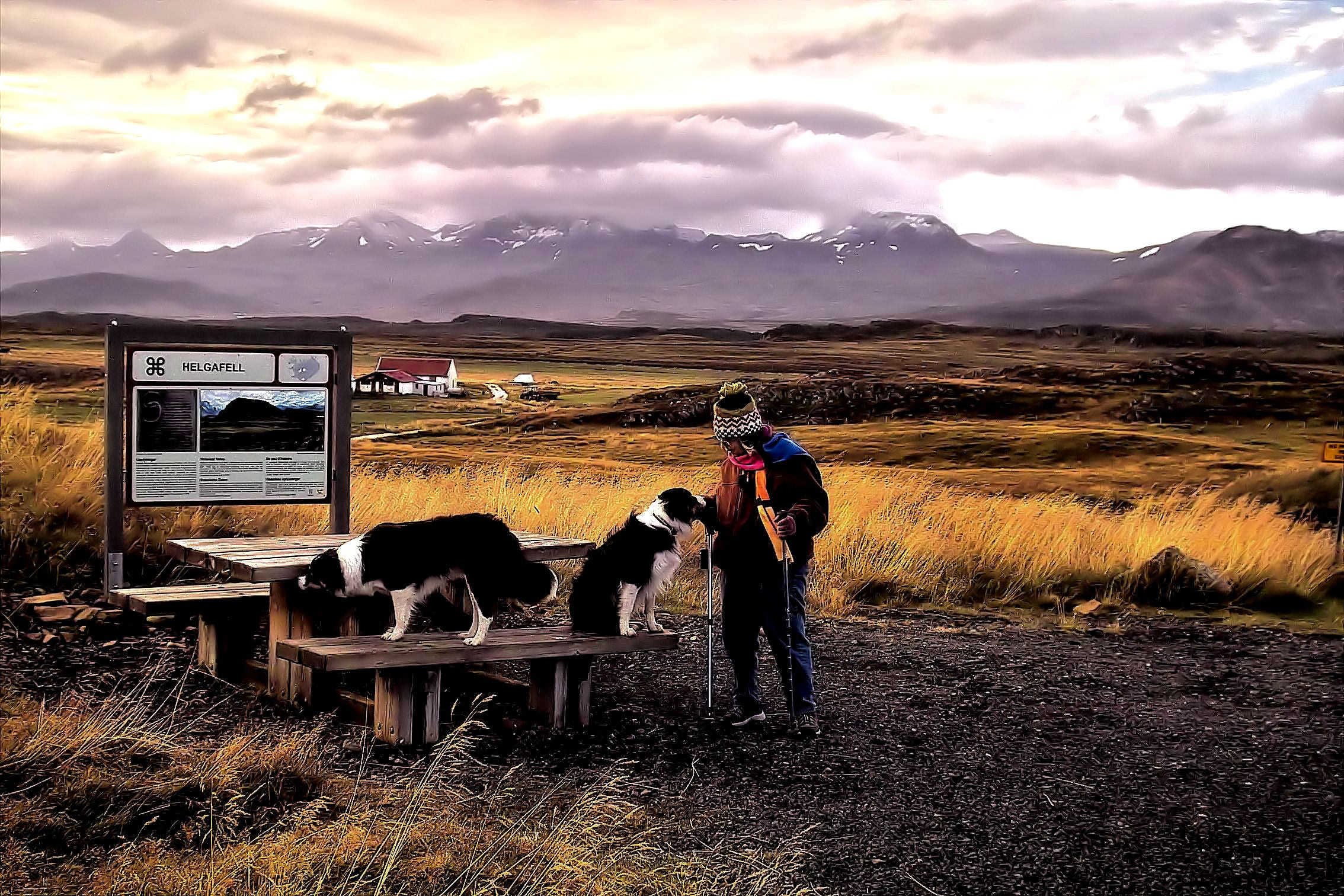 Betty with icelandic dogs .jpg