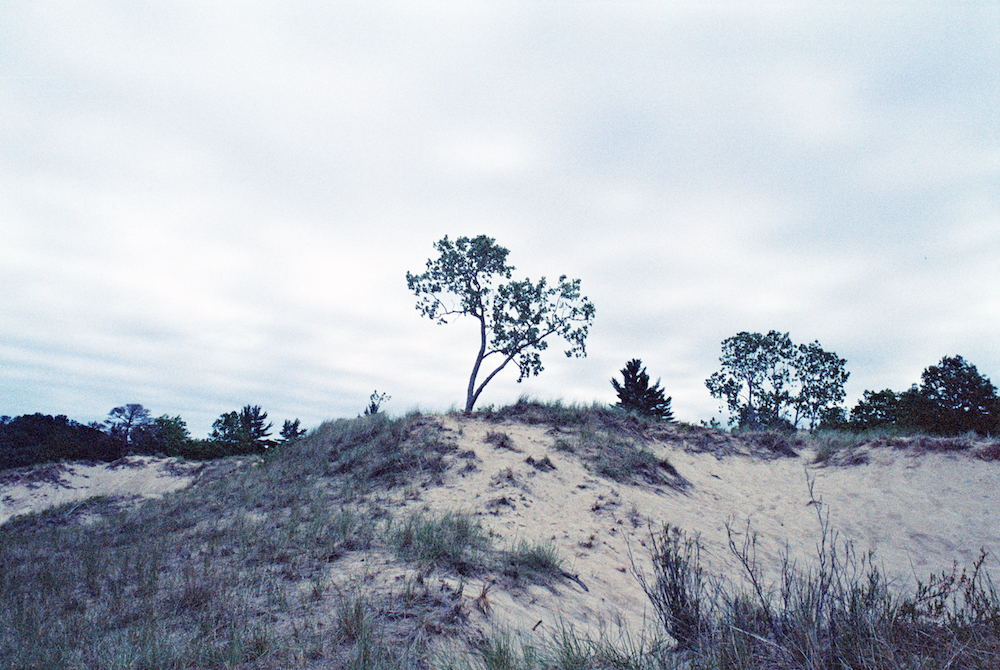 bg004.jpg