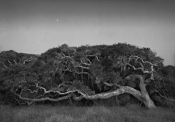 Big sUR 100c.jpg