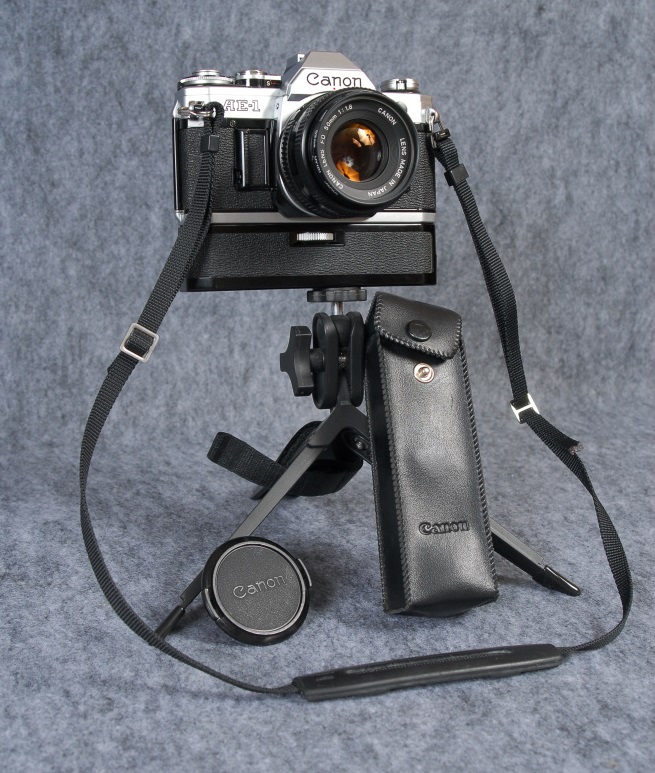 BLD_0915.JPG