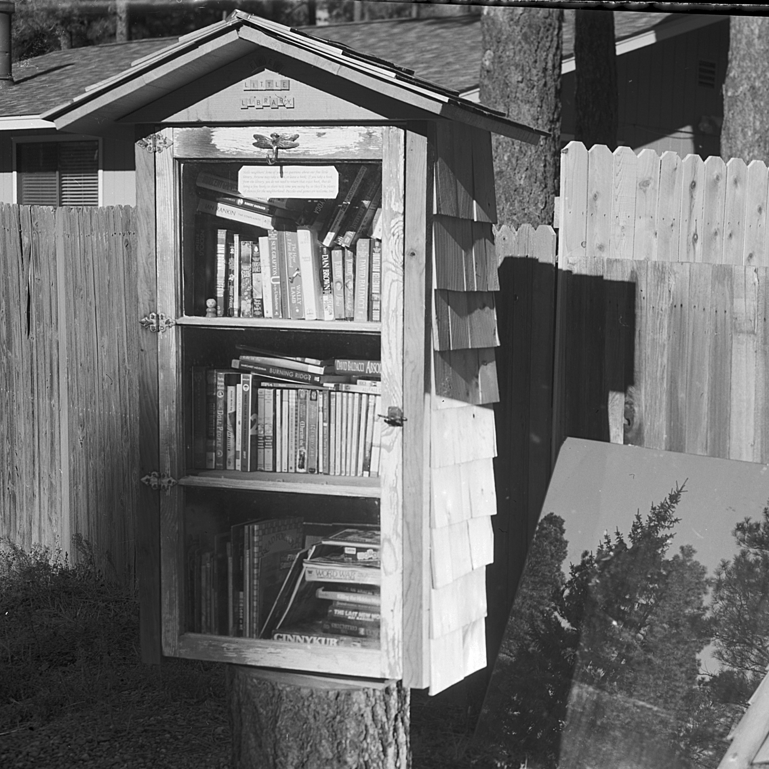 Books  .jpg