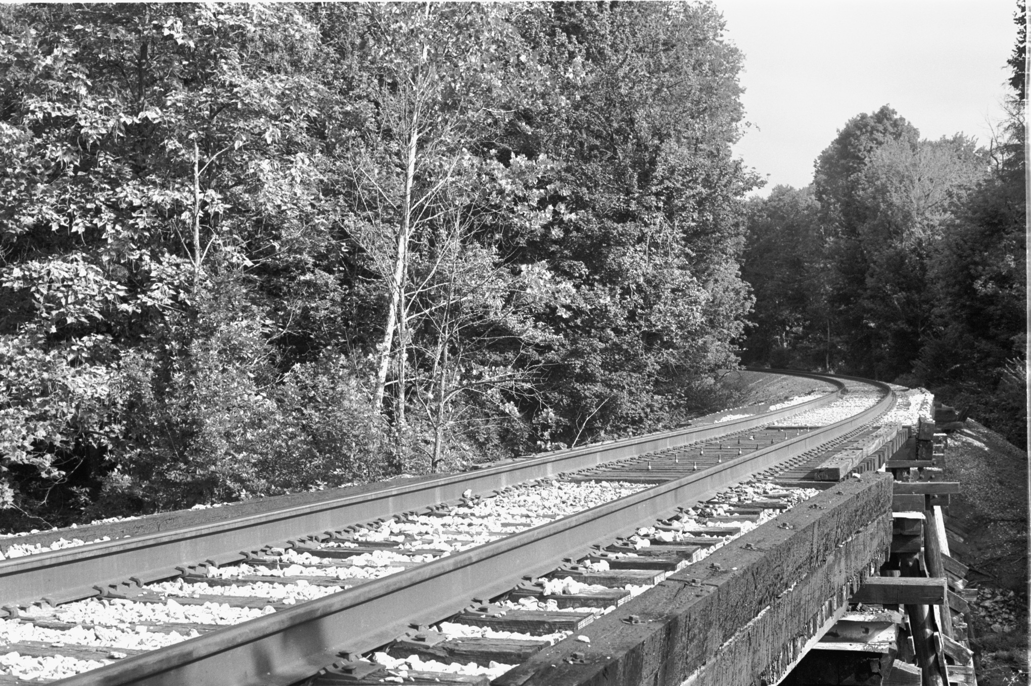 bridge 5.jpg