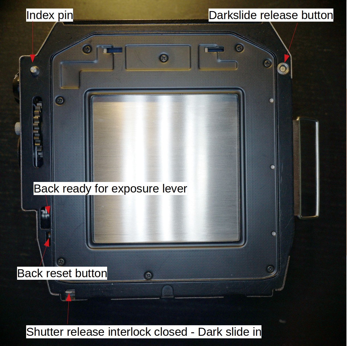 Bronica_EC-TL_Back_interlocks_DS-in.jpg