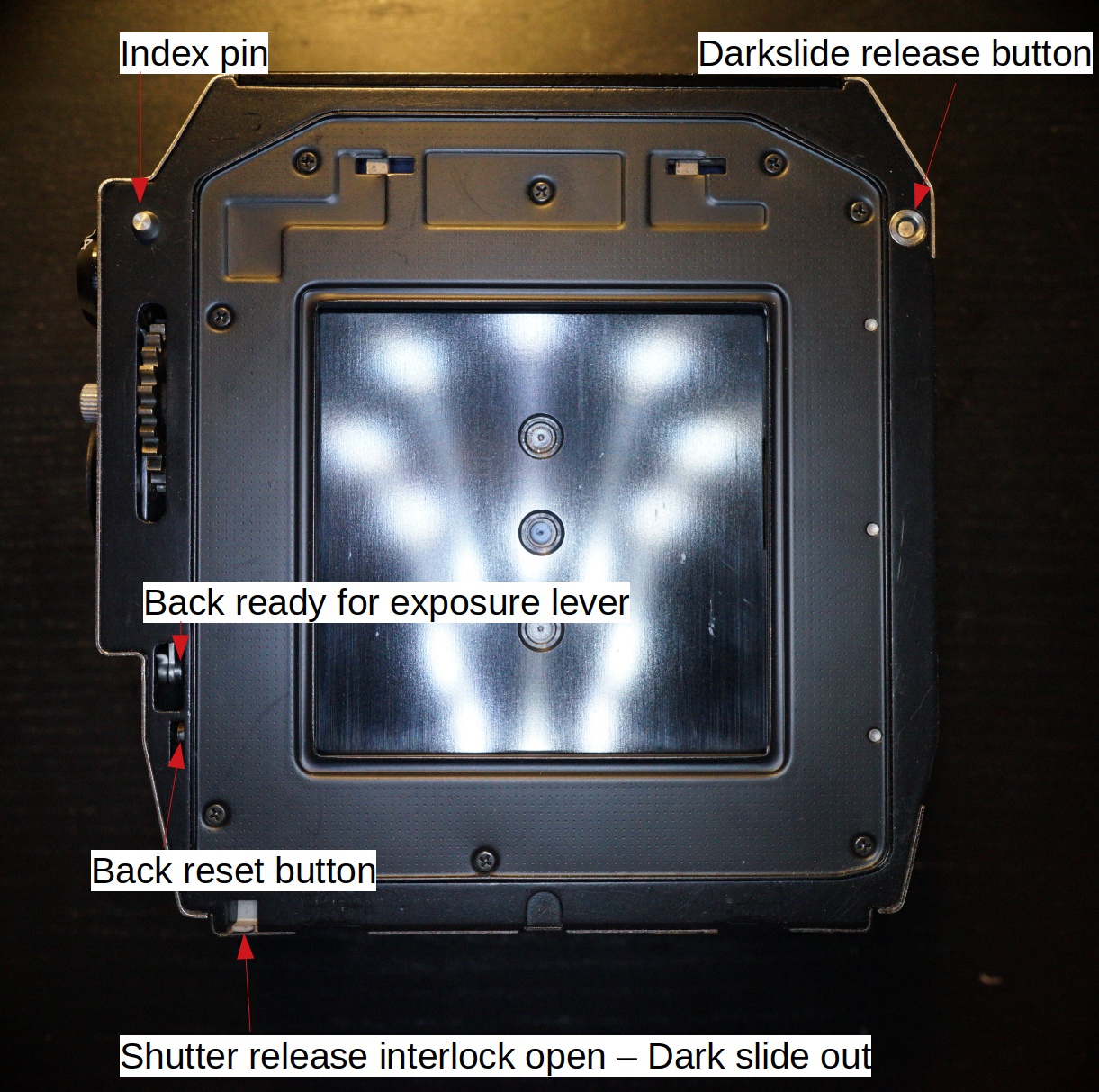 Bronica_EC-TL_Back_interlocks_DS-out.jpg
