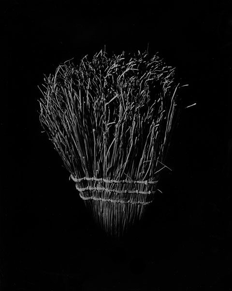 broom1.jpg