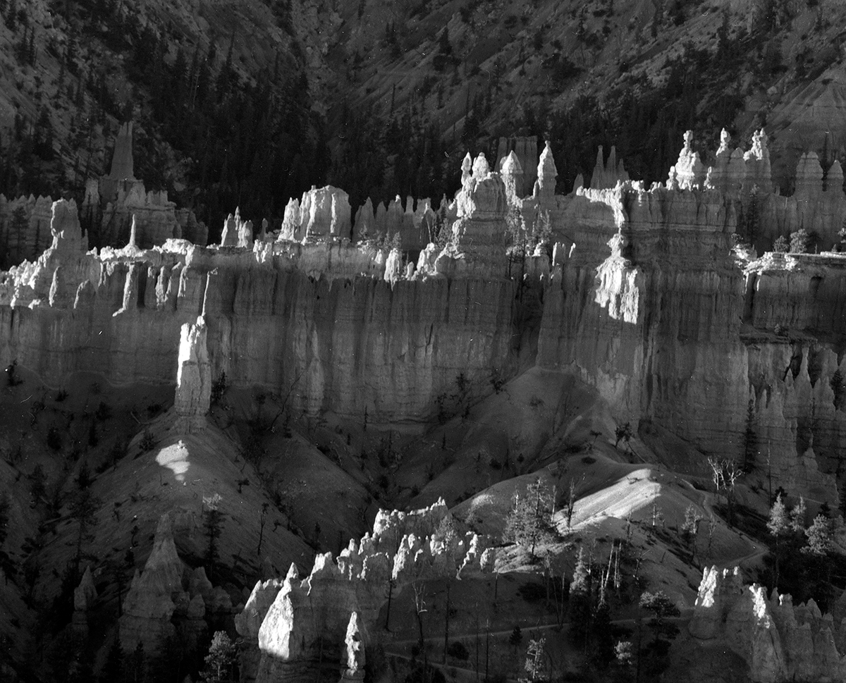 bryce-bw.jpg