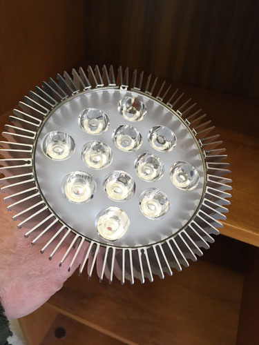 bulb1.jpg