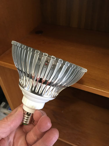 bulb2.jpg