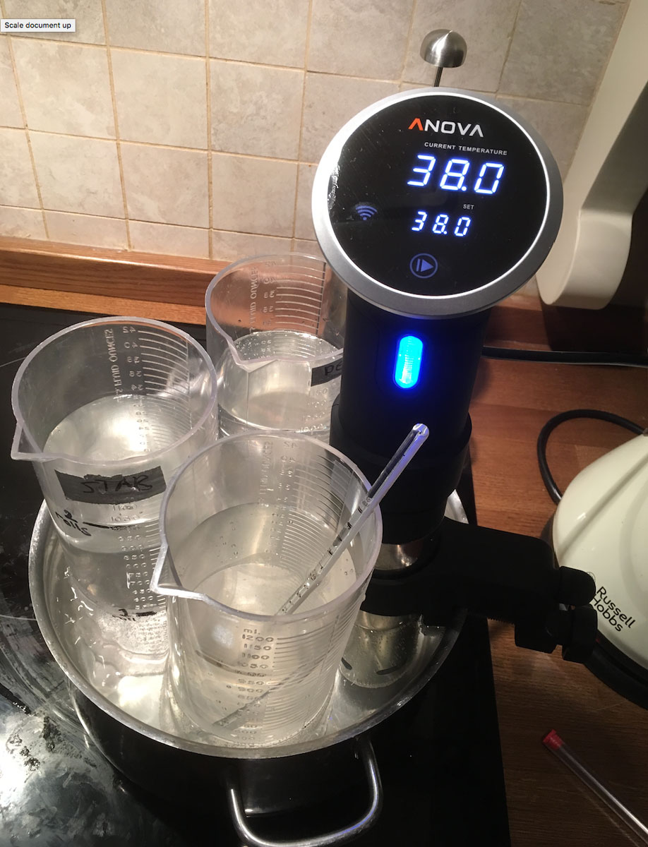 c41_temp.jpg