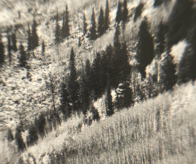C9D6F000-AA58-4B19-BF93-0C81590C6996.jpeg