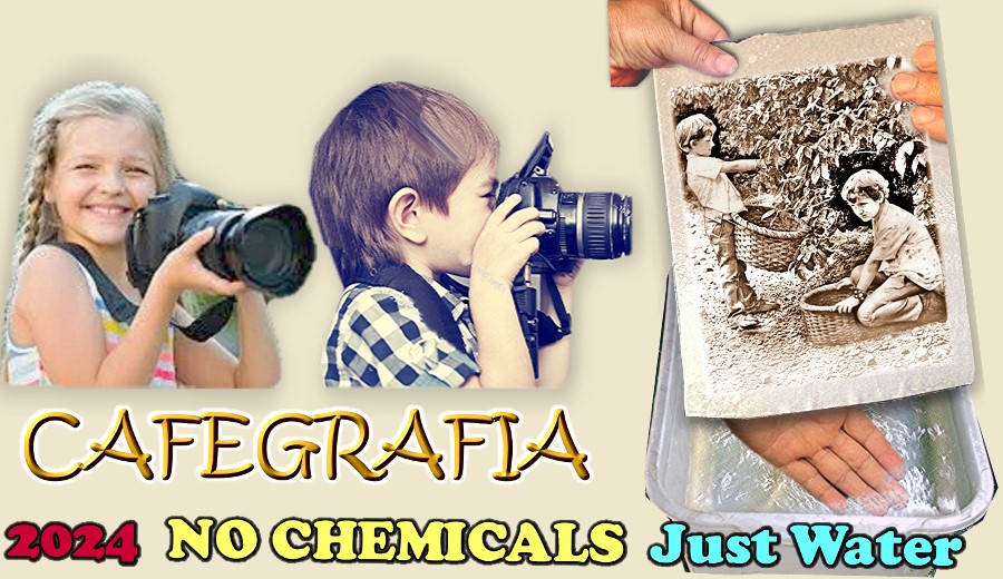 cafegrafia-2024-no-chemicals.jpg
