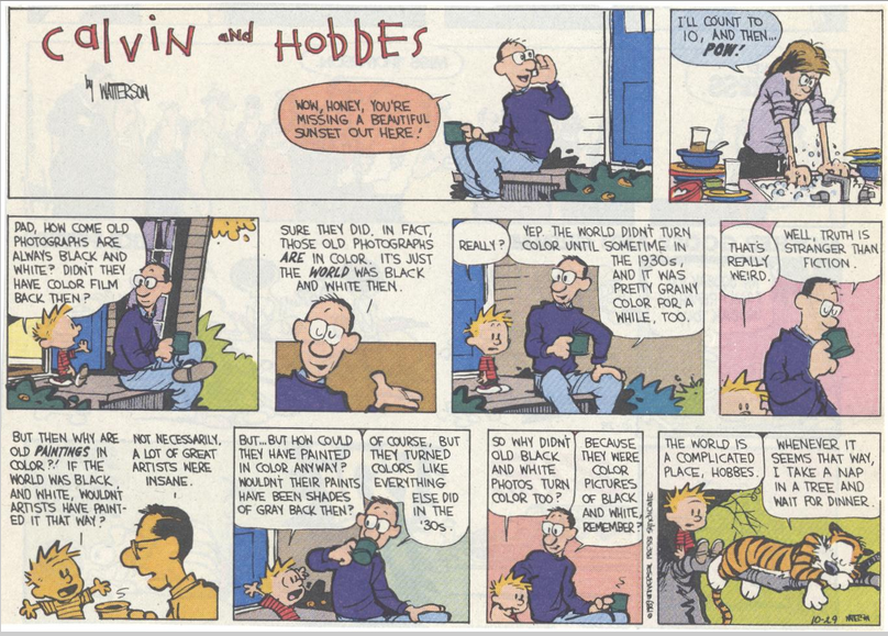 Calvin&Hobbes B&W.PNG
