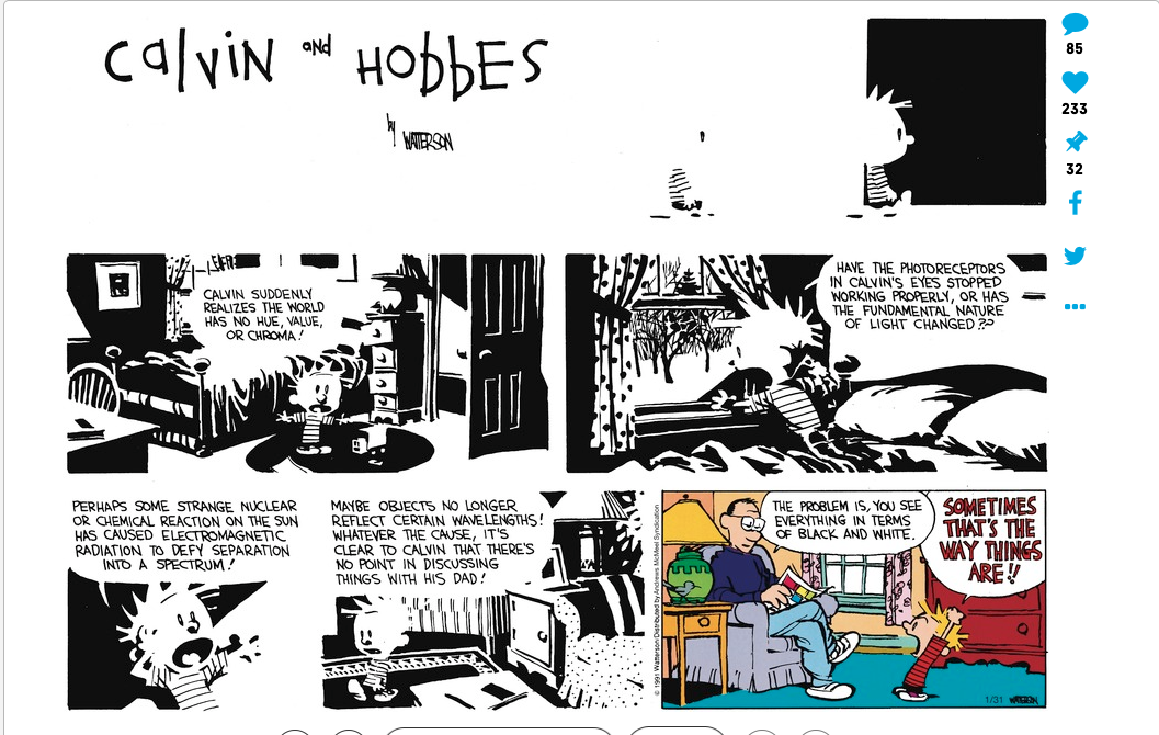 Calvin & Hobbes Black  & White.png