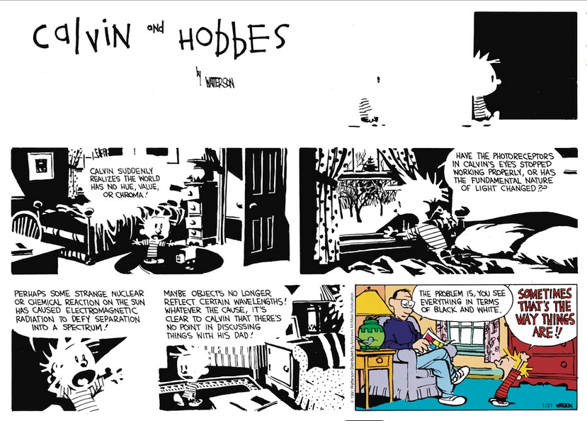 Calvin & Hobbes black & white.PNG